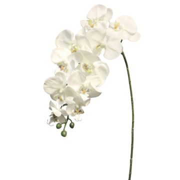 Kunst Phalaenopsis Orchidee Zweig JUANRU, weiß, 100cm Kunst Phalaenopsis Orchidee Zweig JUANRU, weiß, 100cm