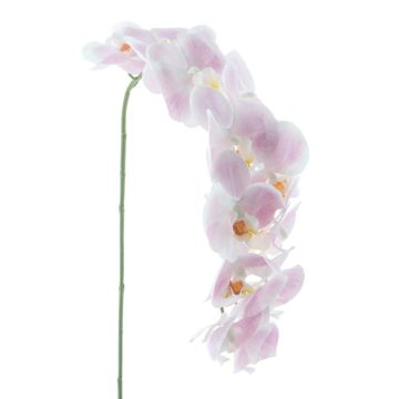 Kunstblume Phalaenopsis Orchidee KORAYA, hellrosa-weiß, 110cm Kunstblume Phalaenopsis Orchidee KORAYA, hellrosa-weiß, 110cm