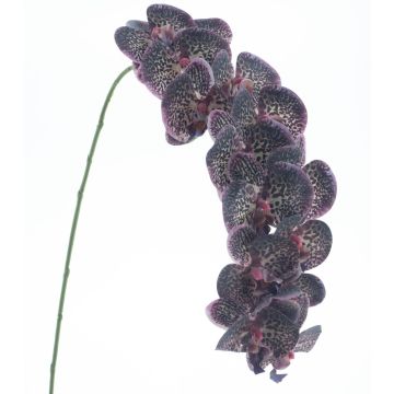 Kunstblume Phalaenopsis Orchidee KORAYA, violett-weiß, 110cm Kunstblume Phalaenopsis Orchidee KORAYA, violett-weiß, 110cm