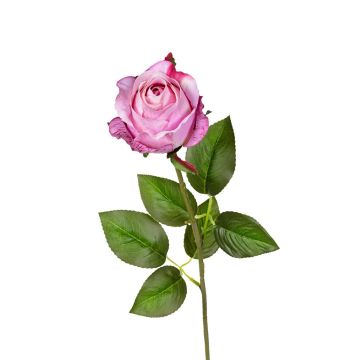 Kunstblume Rose TALIAHNA, lila, 65cm Kunstblume Rose TALIAHNA, lila, 65cm