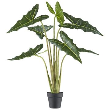 Deko Pflanze Alocasia Sanderiana NARLO, Dekotopf, grün, 100cm Deko Pflanze Alocasia Sanderiana NARLO, Dekotopf, grün, 100cm