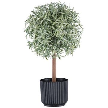 Künstlicher Rosmarin Hochstämmchen WINDAR, gefroren, Dekotopf, grün-weiß, 26cm Künstlicher Rosmarin Hochstämmchen WINDAR, gefroren, Dekotopf, grün-weiß, 26cm