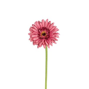 Kunstblume Gerbera TYLORA, altrosa, 60cm Kunstblume Gerbera TYLORA, altrosa, 60cm