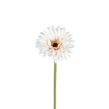 Kunstblume Gerbera TYLORA, weiß-beige, 60cm Kunstblume Gerbera TYLORA, weiß-beige, 60cm