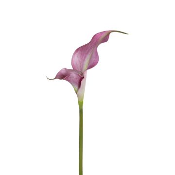 Kunstblume Calla ZEFYRA, rosa, 75cm Kunstblume Calla ZEFYRA, rosa, 75cm