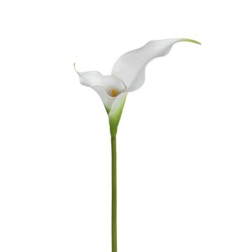 Kunstblume Calla ZEFYRA, weiß, 75cm Kunstblume Calla ZEFYRA, weiß, 75cm