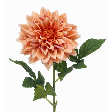 Künstliche Blume Dahlie ZELRAN, aprikose, 70cm, Ø15cm Künstliche Blume Dahlie ZELRAN, aprikose, 70cm, Ø15cm