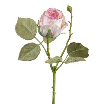 Deko Blume Rose ZORKLIN, rosa-creme, 45cm, Ø6,5cm Deko Blume Rose ZORKLIN, rosa-creme, 45cm, Ø6,5cm
