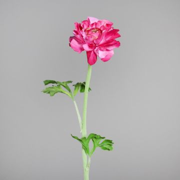 Kunstblume Ranunkel ASTRIEL mit Blüten, pink, 45cm Kunstblume Ranunkel ASTRIEL mit Blüten, pink, 45cm