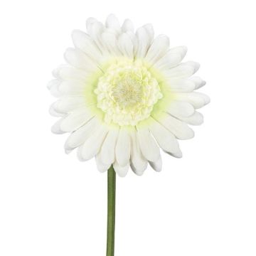 Kunstblume Gerbera TUNZA, creme, 50cm Kunstblume Gerbera TUNZA, creme, 50cm