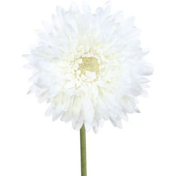 Kunstblume Gerbera MOLZA, weiß, 60cm