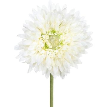 Kunstblume Gerbera MOLZA, creme, 60cm Kunstblume Gerbera MOLZA, creme, 60cm