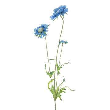 Deko Zweig Scabiosa ISILDEA, blau, 65cm Deko Zweig Scabiosa ISILDEA, blau, 65cm