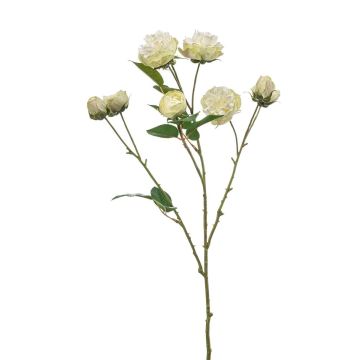 Dekozweig Kohl-Rose TRUVOL, weiß-grün, 65cm, Ø2-6cm