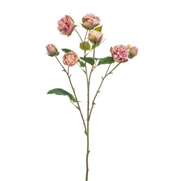 Dekozweig Kohl-Rose TRUVOL, rosa-creme, 65cm, Ø2-6cm