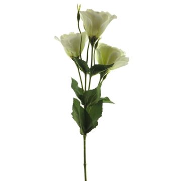 Textilzweig Lisianthus ALARONA, creme, 55cm, Ø6-8cm Textilzweig Lisianthus ALARONA, creme, 55cm, Ø6-8cm