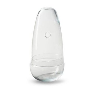 Pflanzen Terrarium VILOSA, Glas, Eiform, klar, 26cm, Ø12cm Pflanzen Terrarium VILOSA, Glas, Eiform, klar, 26cm, Ø12cm