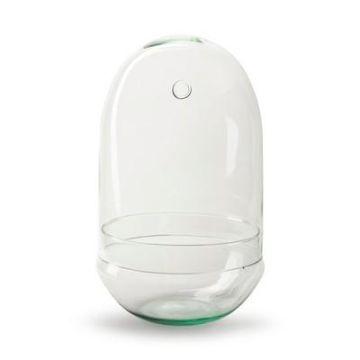 Pflanzen Terrarium VILOSA aus Eco Glas, Eiform, klar, 30cm, Ø17cm Pflanzen Terrarium VILOSA aus Eco Glas, Eiform, klar, 30cm, Ø17cm
