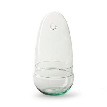 Pflanzen Terrarium VILOSA aus Eco Glas, Eiform, klar, 25cm, Ø12cm Pflanzen Terrarium VILOSA aus Eco Glas, Eiform, klar, 25cm, Ø12cm