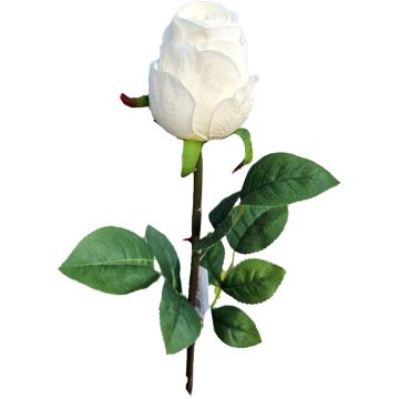 Künstliche Rose SUNJIK, creme, 75cm, Ø7cm Künstliche Rose SUNJIK, creme, 75cm, Ø7cm