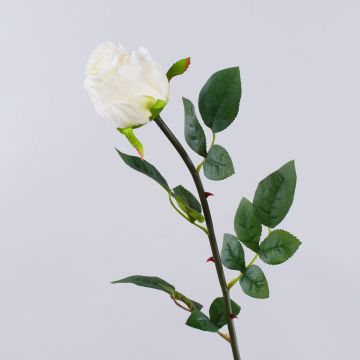 Künstliche Rose SUNJIK, creme, 75cm, Ø7cm Künstliche Rose SUNJIK, creme, 75cm, Ø7cm