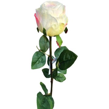 Künstliche Rose SUNJIK, creme-rosa, 75cm, Ø7cm Künstliche Rose SUNJIK, creme-rosa, 75cm, Ø7cm