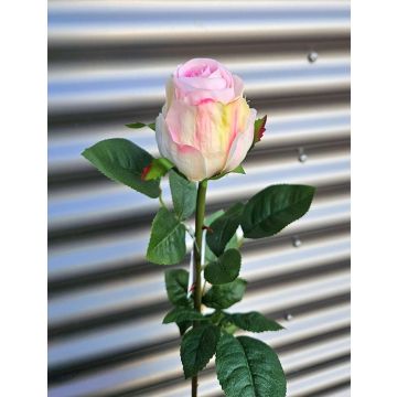 Künstliche Rose SUNJIK, rosa-creme, 75cm, Ø7cm Künstliche Rose SUNJIK, rosa-creme, 75cm, Ø7cm