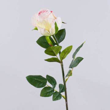 Künstliche Rose SUNJIK, rosa-creme, 75cm, Ø7cm Künstliche Rose SUNJIK, rosa-creme, 75cm, Ø7cm