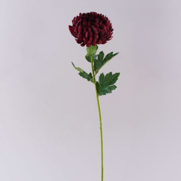Kunstblume Chrysantheme HIKJUN, burgunderrot, 65cm, Ø12cm Kunstblume Chrysantheme HIKJUN, burgunderrot, 65cm, Ø12cm