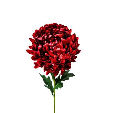 Kunstblume Chrysantheme HIKJUN, koralle, 65cm, Ø12cm Kunstblume Chrysantheme HIKJUN, koralle, 65cm, Ø12cm