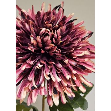 Kunstblume Chrysantheme HIKJON, dunkelrosa, 75cm, Ø18cm Kunstblume Chrysantheme HIKJON, dunkelrosa, 75cm, Ø18cm