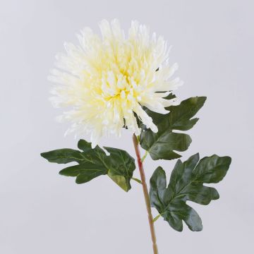 Kunstblume Chrysantheme HIKJON, creme-weiß, 75cm, Ø18cm Kunstblume Chrysantheme HIKJON, creme-weiß, 75cm, Ø18cm