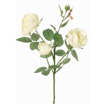 Kunstblume Rosenzweig DIAMANTIS, creme, 70cm, Ø5-8cm Kunstblume Rosenzweig DIAMANTIS, creme, 70cm, Ø5-8cm