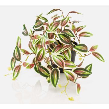 Fake Pflanze Tradescantia zebrina DIHALLO im Dekotopf, grün-rot, 19cm