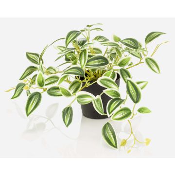 Fake Pflanze Tradescantia zebrina DIHALLO im Dekotopf, grün-weiß, 19cm