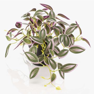 Fake Pflanze Tradescantia zebrina DIHALLO im Dekotopf, grün-lila, 19cm