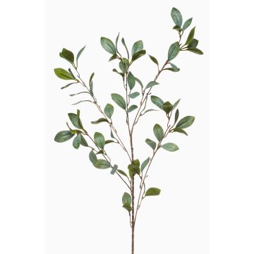 Deko Zweig Eukalyptus MERKAN, grün-grau, 90cm
