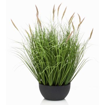 Kunstgras Lampenputzergras WALERIAN in Dekoschale, mit Rispen, grün, 60cm
