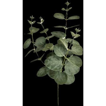 Eukalyptus künstlich ERINDALS, grün-grau, 60cm