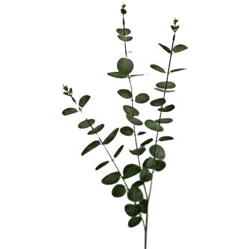 Eukalyptus künstlich ERINDALS, grün-grau, 90cm