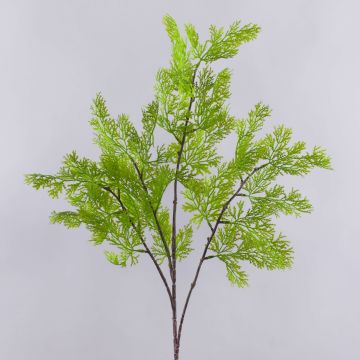 Künstlicher Zweig Thuja BIRLAF, grün-gelb, 85cm Künstlicher Zweig Thuja BIRLAF, grün-gelb, 85cm
