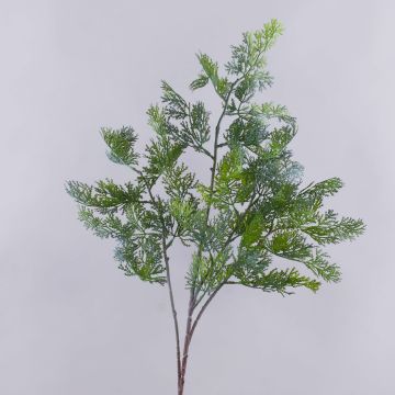 Künstlicher Zweig Thuja BIRLAF, grün-grau, 85cm Künstlicher Zweig Thuja BIRLAF, grün-grau, 85cm