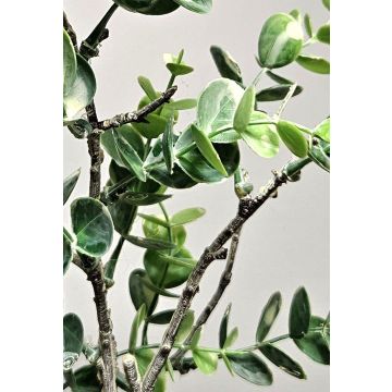 Eukalyptus künstlich NEKFAR, grün-grau, 60cm