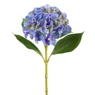 Deko Blume Hortensie FUSTRAL, blau-grün, 65cm, Ø18cm Deko Blume Hortensie FUSTRAL, blau-grün, 65cm, Ø18cm