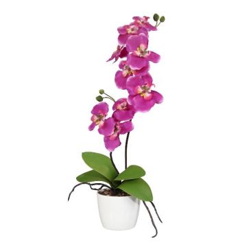 Textil Phalaenopsis Orchidee MORLEK, Keramiktopf, Wurzeln, pink, 60cm