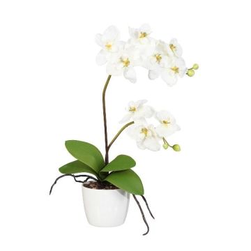 Textil Phalaenopsis Orchidee MORLEK, Keramiktopf, Wurzeln, creme, 60cm