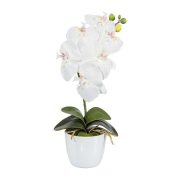 Textil Phalaenopsis Orchidee DRINTOR, Keramiktopf, Wurzeln, weiß, 40cm
