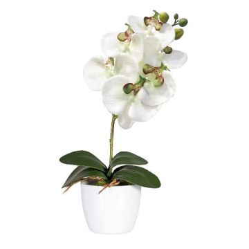 Textil Phalaenopsis Orchidee DRINTOR, Keramiktopf, Wurzeln, weiß-grün, 40cm Textil Phalaenopsis Orchidee DRINTOR, Keramiktopf, Wurzeln, weiß-grün, 40cm