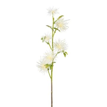 Dekozweig Kugeldistel ZORLIM, weiß, 55cm Dekozweig Kugeldistel ZORLIM, weiß, 55cm