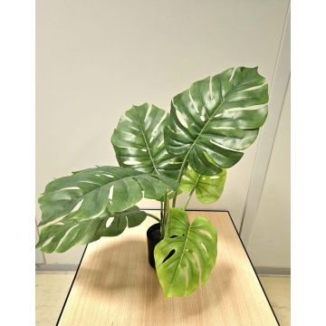 Fake Pflanze Philodendron monstera deliciosa CUNKYN im Dekotopf, 60cm
